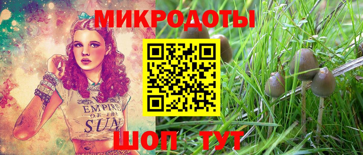 закладка  Псилоцибиновые грибы прущие грибы  Вход с VPN  Алапаевск 